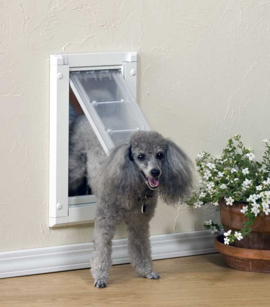 Endura Flap Pet Door For Walls Shop Extreme Weather Dog Doors