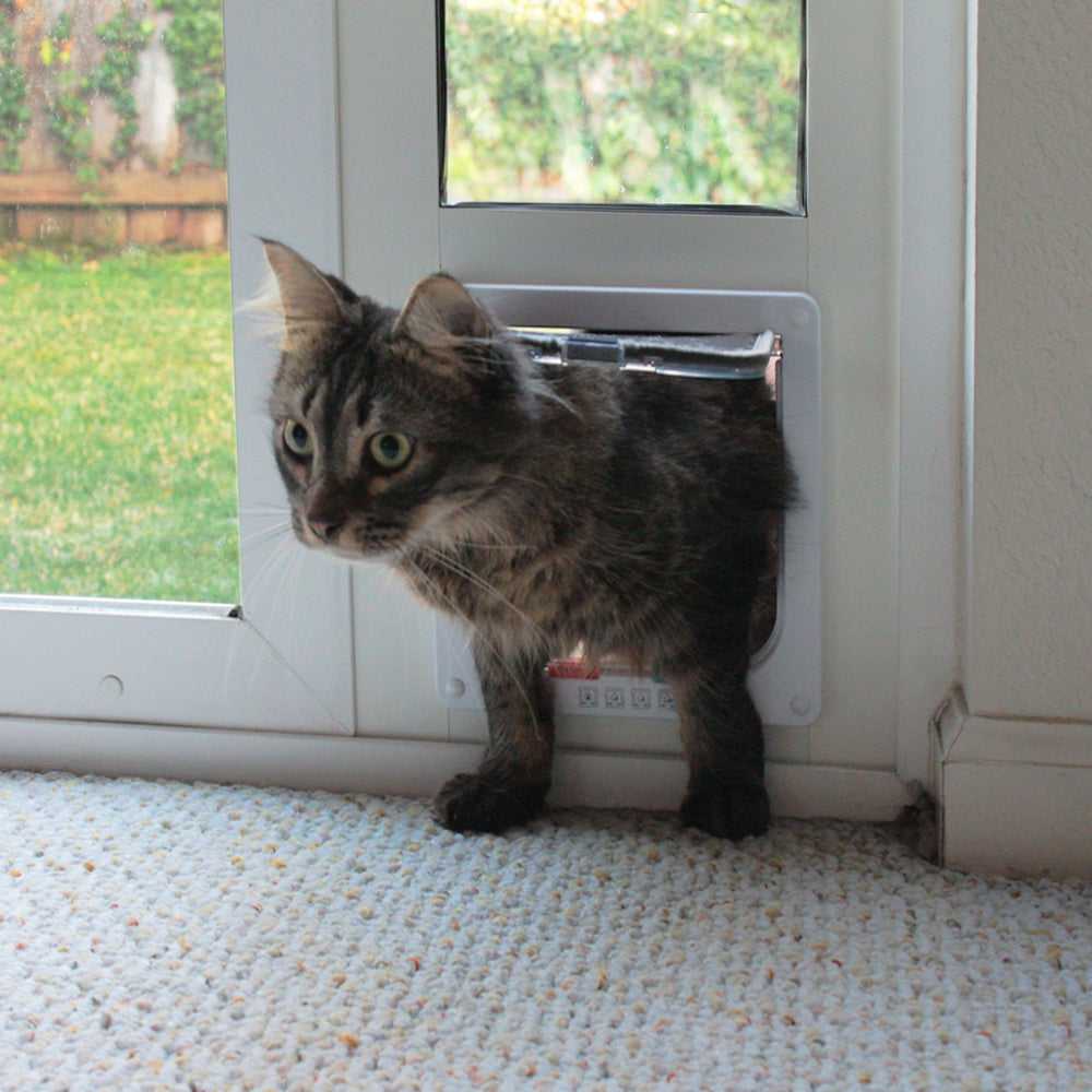 cat door window insert vertical