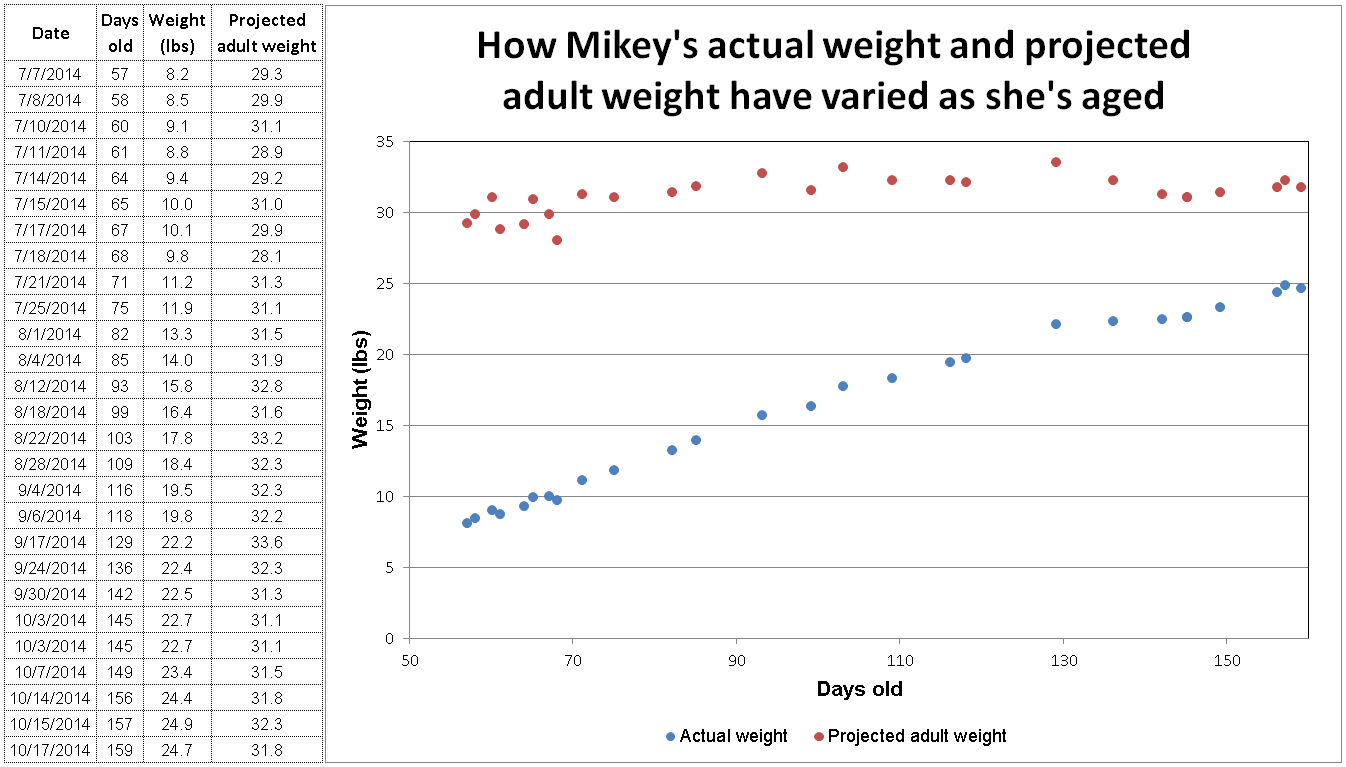medium dog weight chart