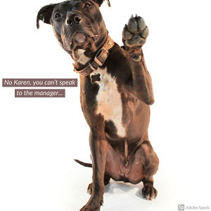 A brown dog against a white background holding up a paw saying 'No Karen, you can't speak to the manager...'