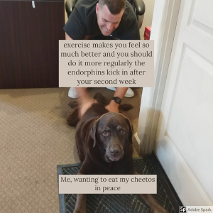 A man pulling back a sad dog. The text on the man reads 'excercise makes you feel so much better and you should do it more regularly the endorphines kick in after your second week.' The text on the dog reads: 'Me, wanting to eat my cheetos in peace.' 