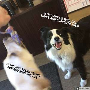 A dog playing with a toy, labeled 'extrovert frens having fun and enjoying life.' Next to it is a calmer dog, labeled 'introvert me who still loves and supports them.' 