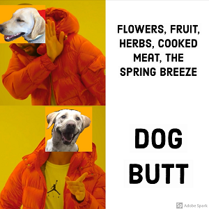 A dog's face edited over the Drake meme. Being rejected: 'flowers, fruit, herbs, cooked meat, the spring breeze.' Being chosen: 'dog butt.' 