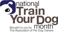 National Train Your Dog Month: how to train your dog with basic dog commands. 