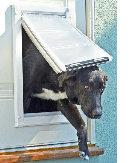 draught proof dog flap