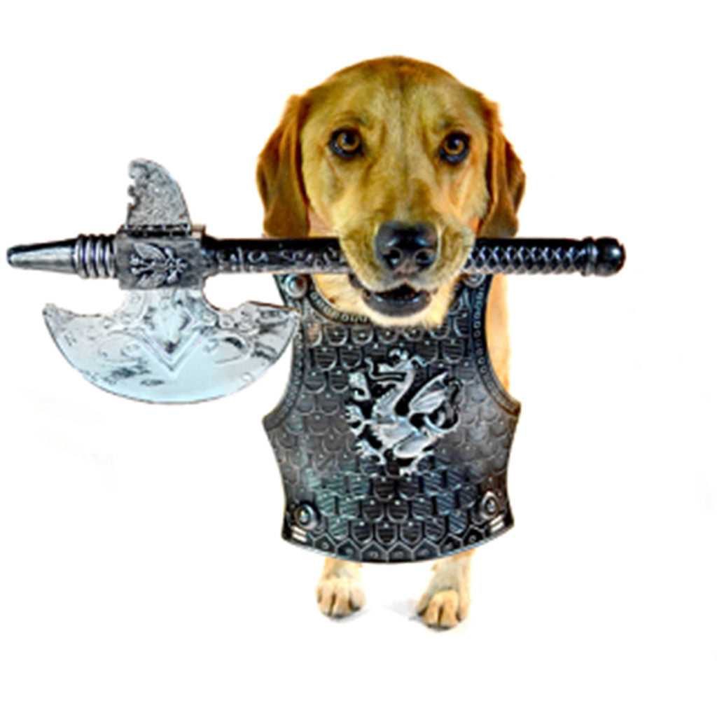 A mix-breed dog with yellow fur wearing a costume medival armor plate and holding a fake battle ax in his mouth. 