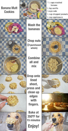 Banana Mutt Recipe Cooking Instructions with pictures - homemade dog treats recipe