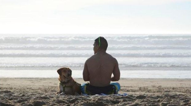 loki on the beach; save a pet by adopting a dog from a shelter 