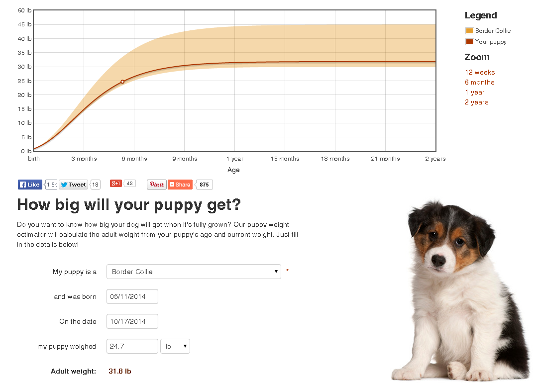 how to tell how big my dog will be