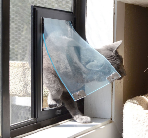 Grey cat going through a Hale Pet Door for Screens to get inside