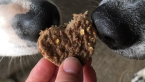 these yogurt dog treats have apple and yogurt in them