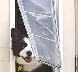 dog pulling on pet flap - best dog doors for this problem - ideal pet door 