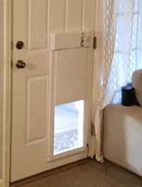 secure dog door for large dogs