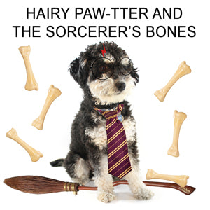 A black and white dog dressed like Harry Potter and surrounded by bones. The text reads: 'Hairy Paw-tter and the Socrcerer's Bones.'