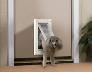 Loki walking through door for dogs; best dog door options 