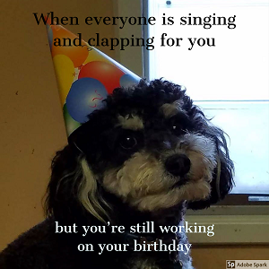 A  dog wearing a birthday hat while looking awkward. The text reads: 'When everyone is singing and clapping for you but you're still working on your birthday.'