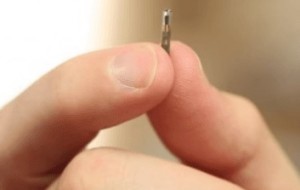 a pet microchip - pet chips can vary, but cat microchips tend to be smaller and carry similar info