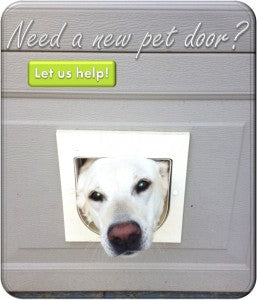 A white dog sticking its head out of a too-small cat door with text that reads 'Need a New Pet Door? Let Us Help!