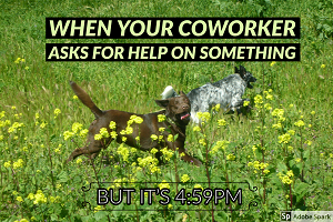 Two dogs frolicking in an idyllic meadow. The text reads: 'when your coworker asks for help on something but it's 4:59PM'