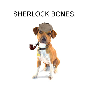 A brown and white dog with an old-fashion pipe and a deerskin hat, labeled 'Sherlock Bones'