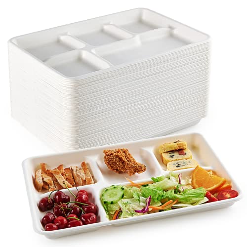 100% Compostable Clamshell Take Out Food Containers [8X8 3-Compartment  50-Pack] Heavy-Duty Quality to go Containers, Natural Disposable Bagasse,  Eco-Friendly Biodegradable Made of Sugar Cane Fibers - A World Of Deals