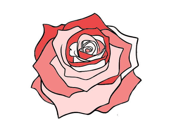 Organic Flower Cones Rose Petals – Elev8 Earth