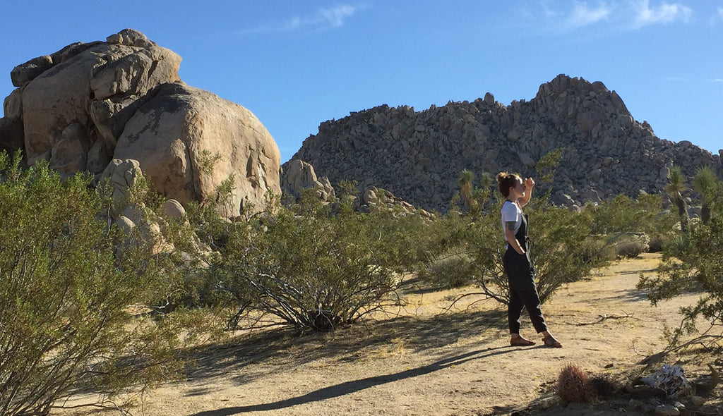 A week spent designing in Joshua Tree