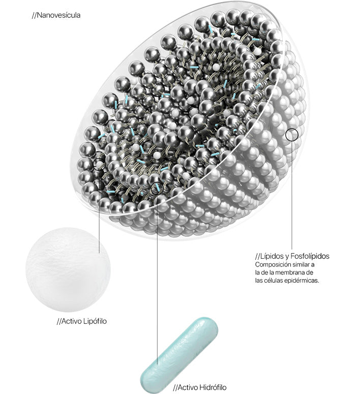 technologia transparent