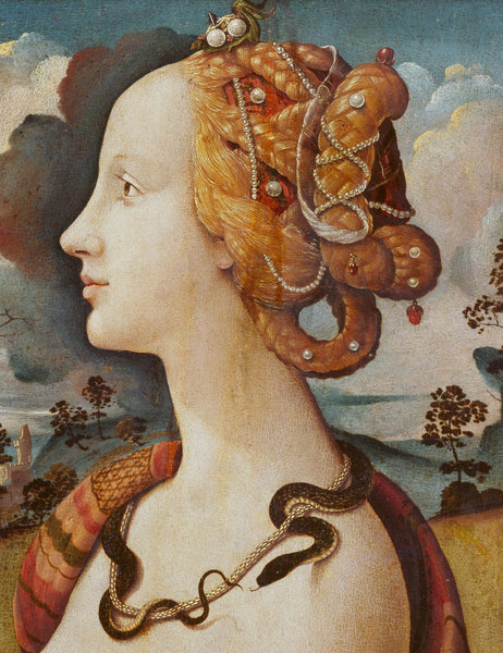 Piero di Cosimo, Portrait of a woman, the portrait is said to be of Simonetta Vespucci