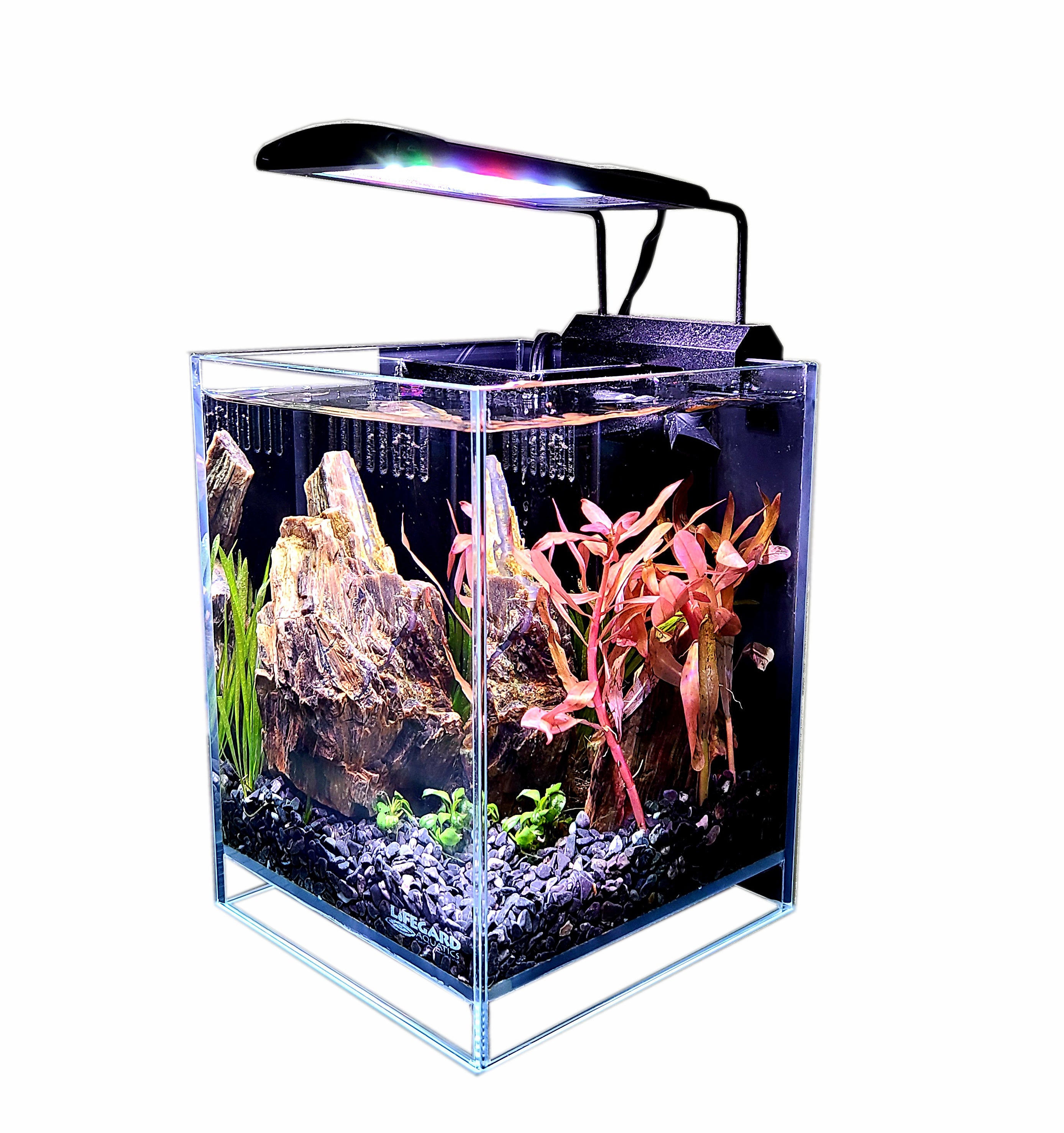  Lifegard Aquatics 15 Gallon Rimless Clear Glass Aquarium 5mm  (23.22x11.02x13.38) : Pet Supplies
