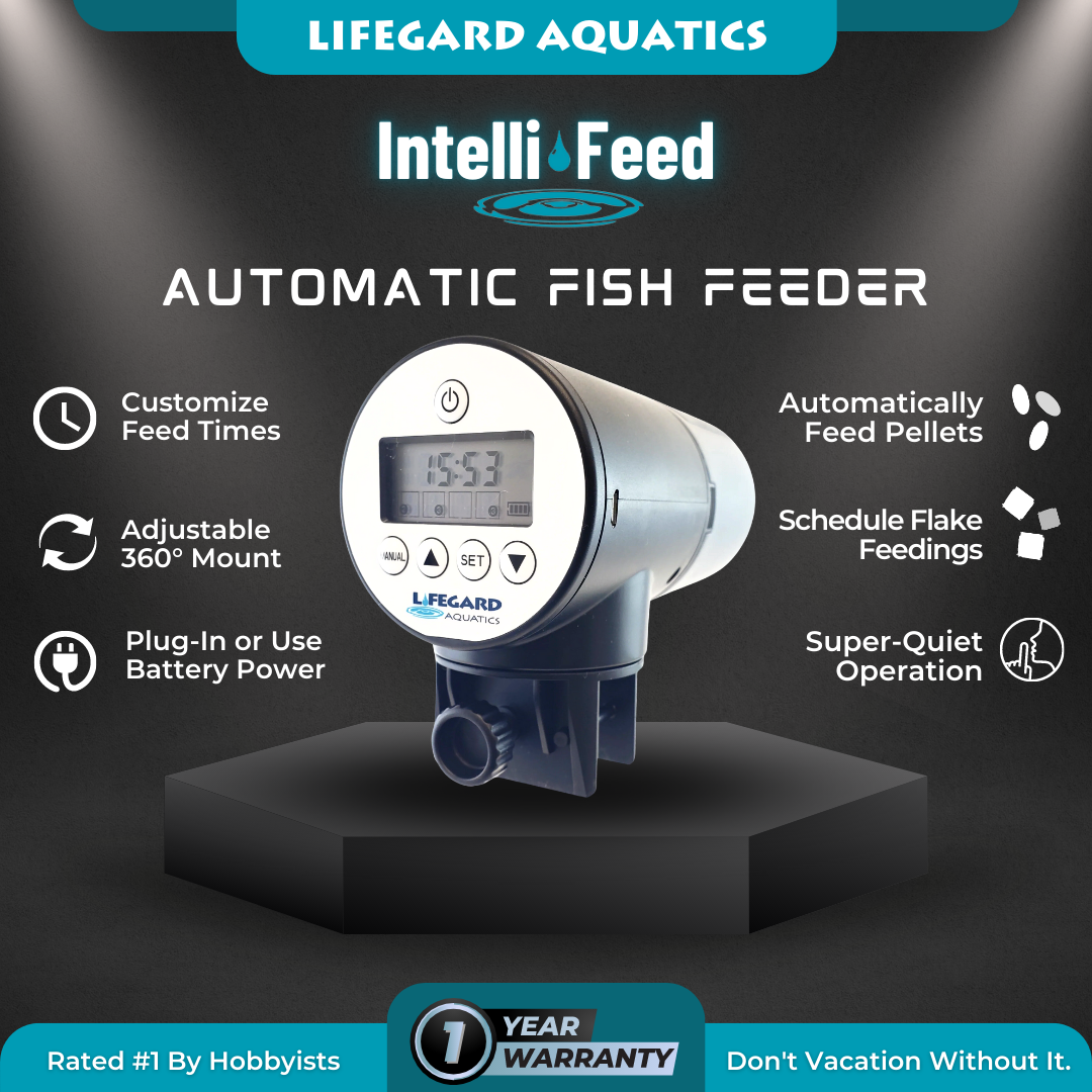 Intelli-Feed Automatic Fish Feeder