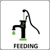 feeding