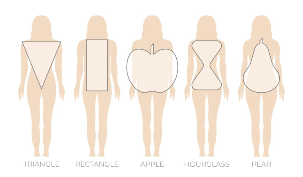 Body shapes chart.