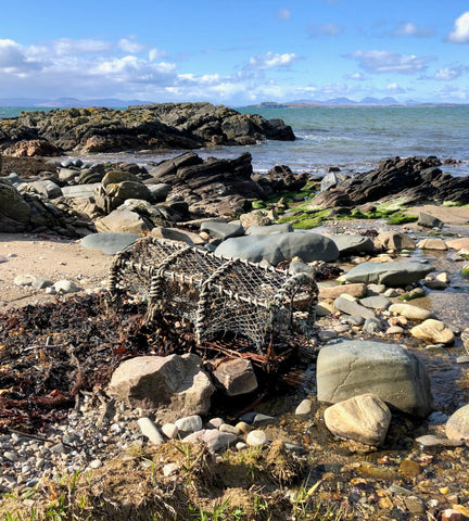 Lobster trap on the shore looking across to Jura and Islay. 