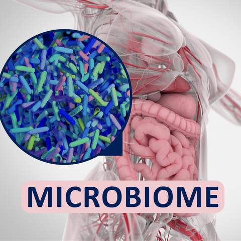 The human gut microbiome 