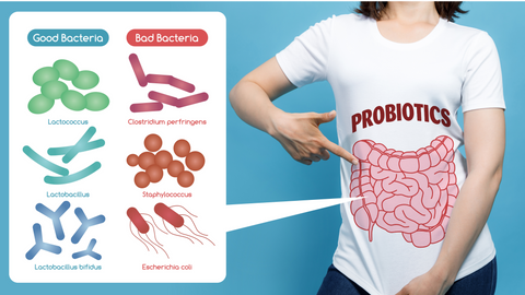 SauerCrowd probiotics