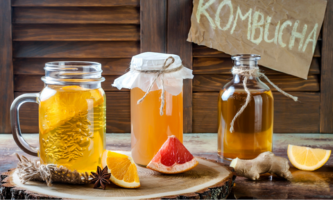 How to make kombucha SauerCrowd guide fermented health benefits kombucha