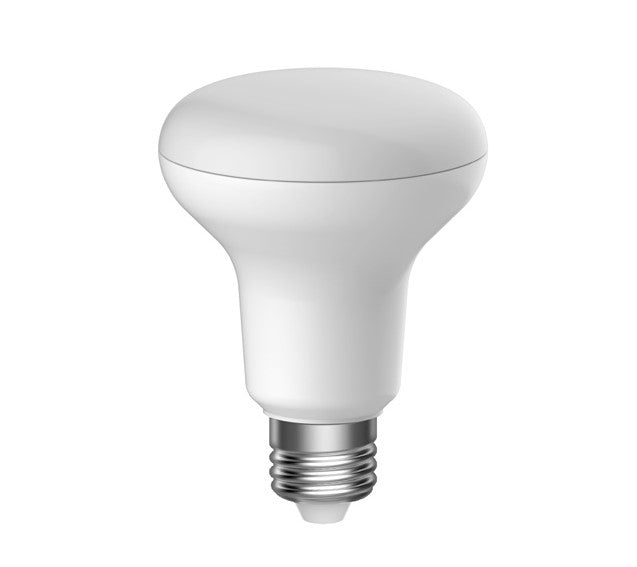 ixl light bulb