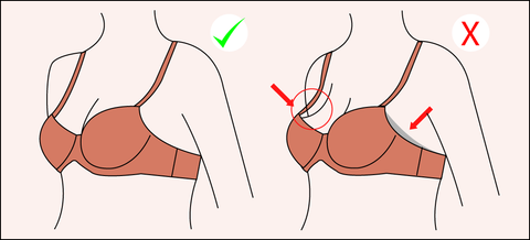 Bra Fitting Check – Aurelia