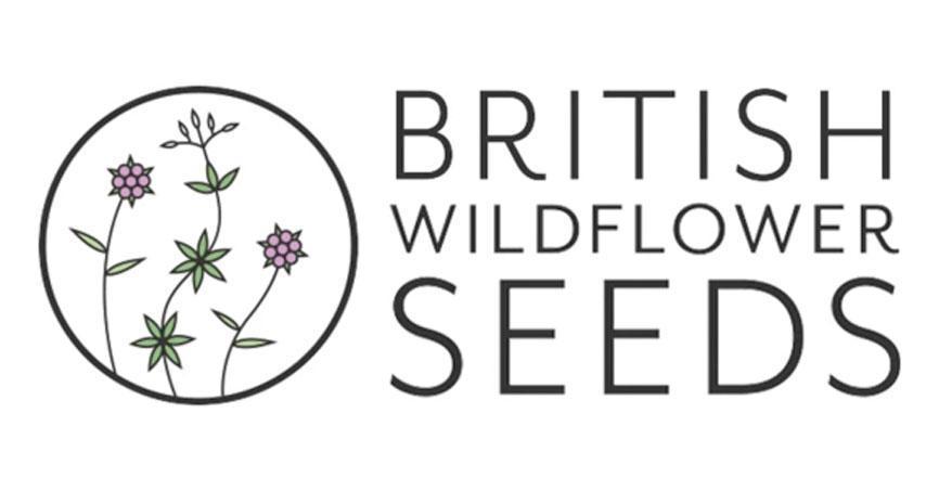 britishwildflowermeadowseeds.co.uk