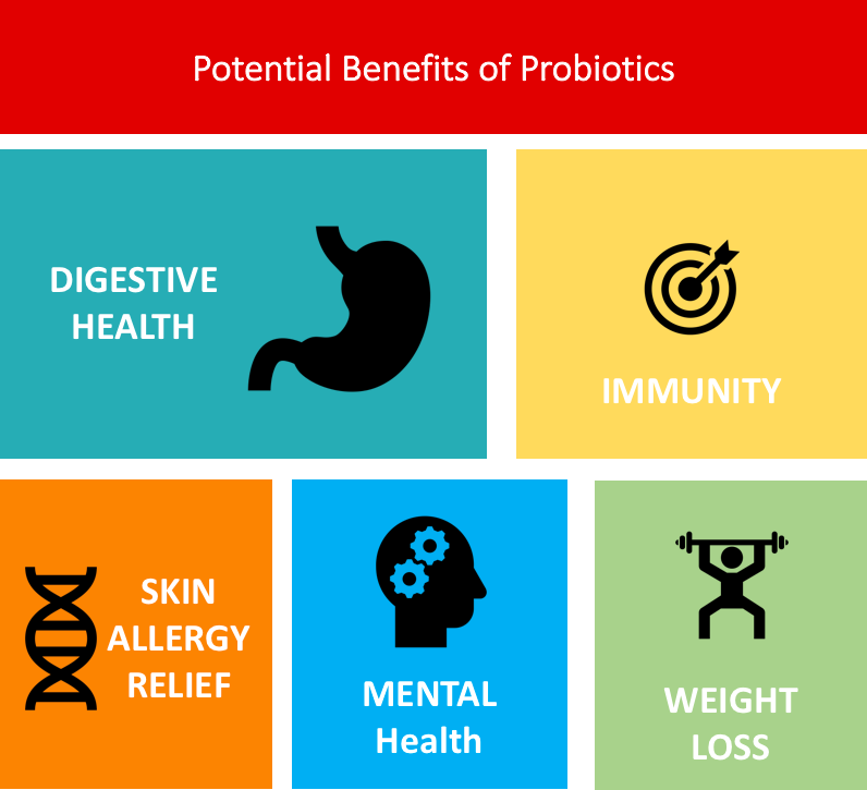 Potential Benefits of Probiotics