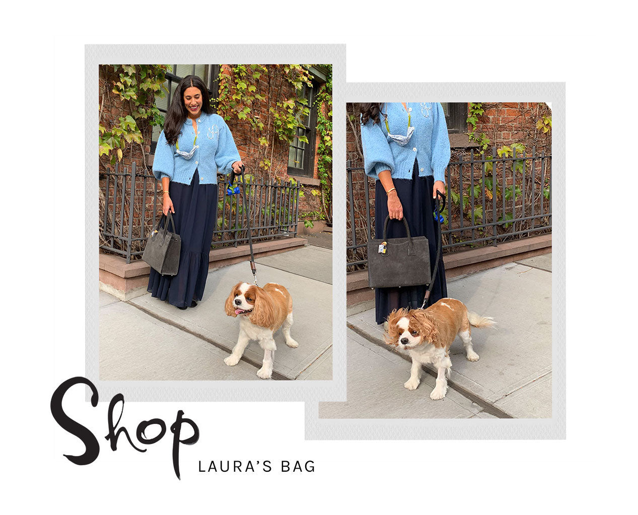 Shop Laura's Bag
