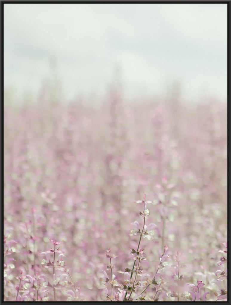 In a field of roses she is a wildflower Girls Quote Poster Print - Art  Print Studio