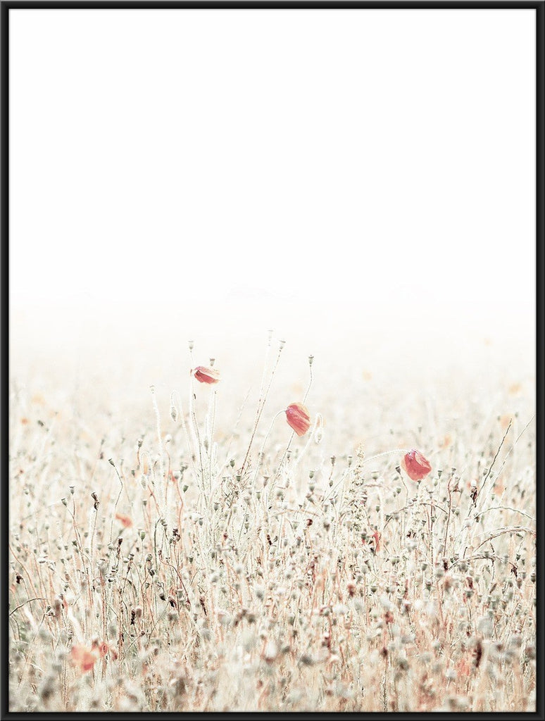 In a Field of Roses She is a Wildflower Graphic by Teebusiness41 · Creative  Fabrica