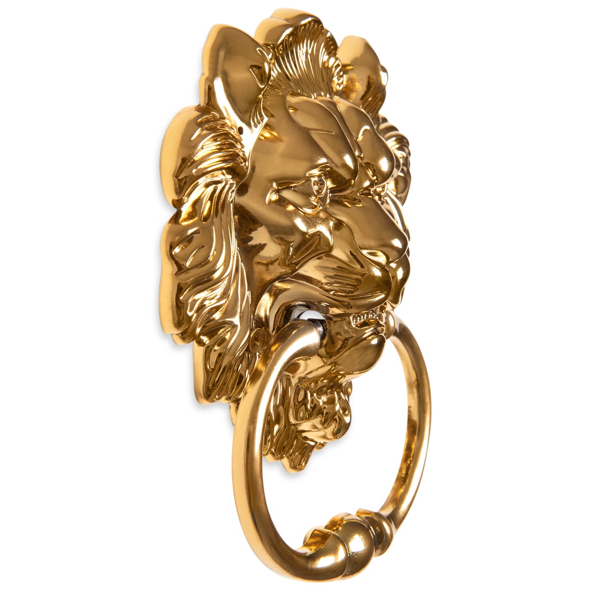 lion door knocker chairs