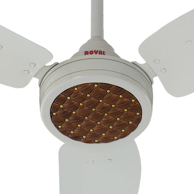 Royal False Ceiling Fan – Royal Fans