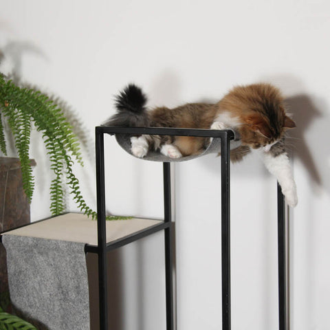 arbre-à-chat-nouméa-homycat-haut-de-gamme-chaton