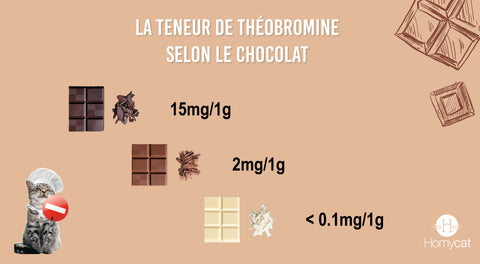 Représentation de la teneur en théobromine selon le type de chocolat