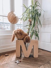 griffoir alphabet lettre M chat et chaton france