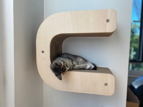 Un chat en train de dormir sur un griffoir en forme de U accroché a un mur